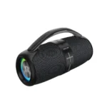 اسپیکر همراه 40 وات گرین لاین Green Lion  Parma Pro Wireless Speaker