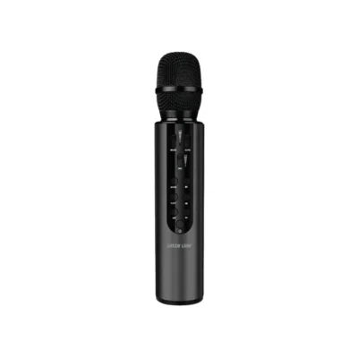 میکروفن بی سیم گرین لاین مدل Green Lion Karaoke GNKRKM6MIC Microphone