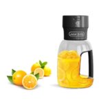 مخلوط کن مگا گرین لاین Green Lion MEGA Blender 1000ML