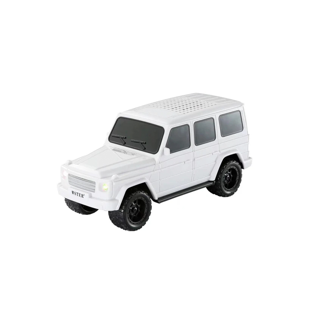 Wster-WS-591-wireless-speaker-3-1