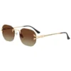 عینک آفتابی گرین‌لاین مدل Green Lion Selvante Sunglasses