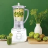 آبمیوه‌گیر و بلندر گرین‌ لاین مدل Green Lion Jet Blend Juice Blender 650W - Image 3